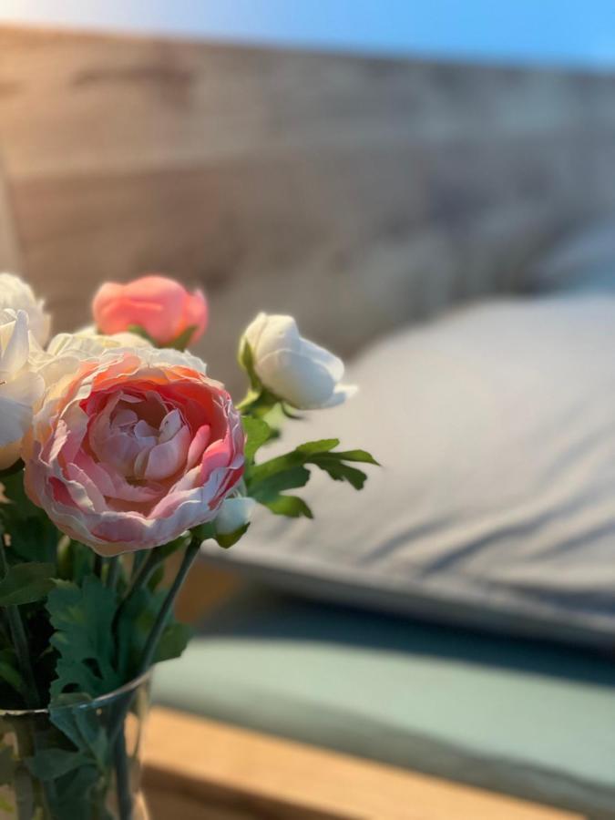 Apartman Plesivec U Sjezdovky Abertamy Esterno foto